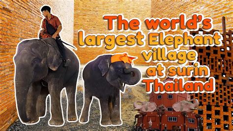 elephant in the village of the blind|The Elephant in the Village of the Blind .